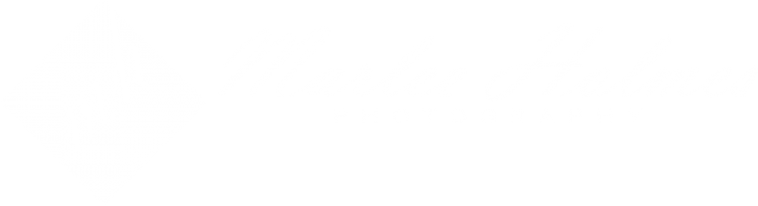 Marlee Holmes Photography